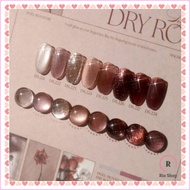 Dgel x Signature Dry Rose 8 Color Set Magnetic Nail