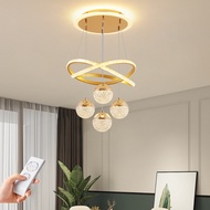 Living room pendant light, LED ceiling pendant light, indoor pendant light, dining room light, bedro