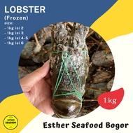 LOBSTER Laut 1kg (Frozen) -Bogor