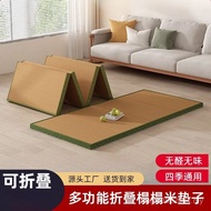 Japanese-Style Mattress Lunch Break Kang Cushion Coconut Palm Tatami Tatami Foldable Floor Cushion C