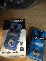 Tc electronic flashback mini delay