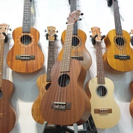 Beginner Series Concert Ukulele - PukanaLa PU-BE01C with bag