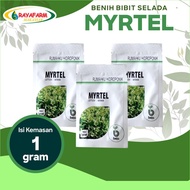Benih Bibit Selada Myrtel 1gr - Bejo Seed TERJAMIN