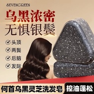 Seven Green Platycladus arborvitae Leaf Shampoo Soap Seven Green Chinese arborvitae twig Shampoo soa