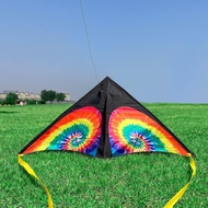 Delta Kite for Kids & Adults, Extremely Easy to Fly Kite, Best Kite for Beginner,Kites for Kids Ages