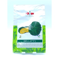 EAST-WEST SEED BELLA F1 HYBRID SQUASH/KALABASA SEED ASENSO PACK (60 SEEDS)