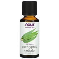 Now Foods, Essential Oil Eucalyptus Radiata, 1 fl oz. (30 ml) Minyak Pati Kayu Putih