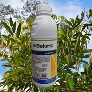 1L BALORIC SYNGENTA/ RACUN RUMPAI / Loyant + Sofit / Padi Burung / Kaladi Agas / PRETILACHLOR 27.40%