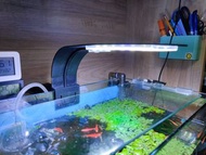 水族魚缸燈,LED,99成新