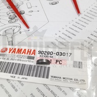 SPI MAGNET MAGNET - SPI KRUG AS RXS RXZ RXKING RX King 90280-03017
