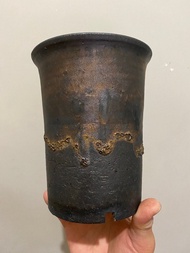 日本信樂燒盆 塊根 象牙宮 象足漆樹