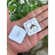 MESIN Qinetic YT57 watch movement ic kinetic YT57 watch ic