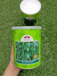 Benih Kacang Panjang GARDA/GUARDA 500gram