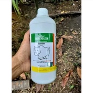 Cap Badak Desinfektan 1 liter (1000ml) / Sulfur Carbendazim / Desinfektan kandang peternakan