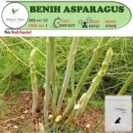 5pcs Benih ASPARAGUS HIJAU seeds