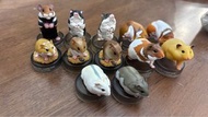 海洋堂 倉鼠 系列扭蛋 puiyi puiyi