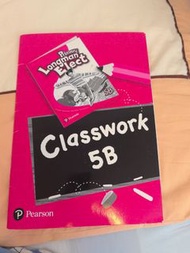 Primary Longman Elect classwork 5 B