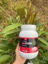 Phân Bón Dashu z1000 SIÊU KÍCH RỄ & ĐI ĐỌT