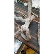 Akar MiMang Lamjalallah.(Dimaharkan 5cm-9cm/key chain)