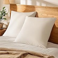 Shilucheng 100% French Linen Euro Shams 26"x26" Pack of 2, Soft Breathable Pillow Covers for Hot Sle