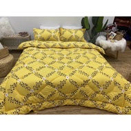 Poly set Imported Quilted Blanket