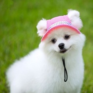 Dog sun hat exposed ears cat dog top hat Straw princess Dog sun Hat Open ears cat Dog top Hat breath