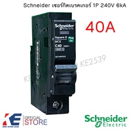 Schneider เซอร์กิตเบรคเกอร์ 1P 10A 16A 20A 25A 32A 40A 50A 63A ลูกเซอร์กิต ลูกย่อยเซอร์กิต Circuit B