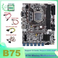 B75 Btc Miner Motoard 12X Usb + G1630 Cpu + Kabel Switch Sata
