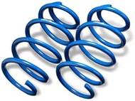 ESPELIR ESH-852ER Super DOWNSUS Rear Fit ESH-852ER