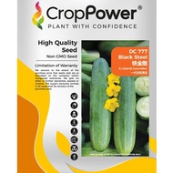 Benih Timun Black Steel Cucumber DC777 Hibrid F1 Cap Crop Power (20gm)