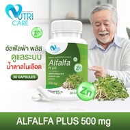 📦ส่งฟรี📦Nutri Care Alfalfa Plus 30แคปซูล อาหารเสริมบำรุงร่างกายลดระดับคอเลสเตอรอล | ช่วยเสริมระบบขับ