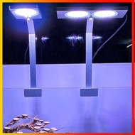 Đèn kẹp Coco WRGB FF 200 FF 300 cho bể thủy sinh cá cảnh