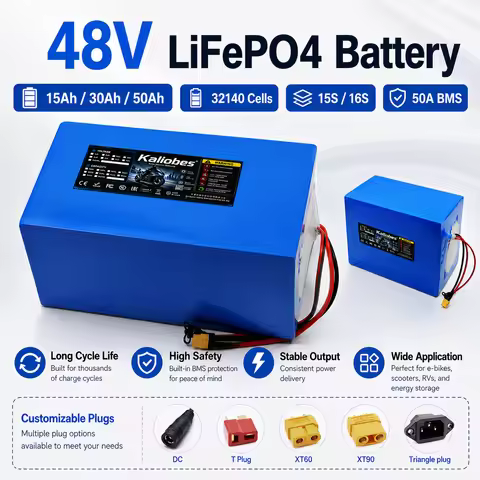 32140 48V 15Ah 30Ah 50Ah Lifepo4 Battery Pack,Built-in 50A BMS,2560W Power,Suitable for Electric Two