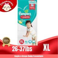 Pampers XL Pants (choose variation)