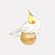 玄鳳鸚鵡 貼紙 | 慵懶木星