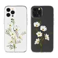 Cosmos Flower