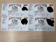 郭富城演唱會飛