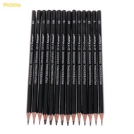 Picbliss 14 Pcs Sketch Art Drawing Pencil 12B 10B 8B 7B 6B 5B 4B 3B 2B 1B HB 2H 4H 6H
