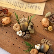 Acorn Plant Series Brooch Handmade Carefully Made Dried Fruit Wood Chips Mori Series Niche Creative 