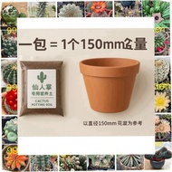 99G - cactus succulent potting mix soil
