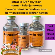 intracin 10s pengganti oxytocin obat pelancar lahiran hewan anjing babi kelinci kucing sapi kambing