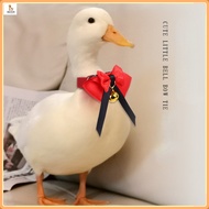 Chicken and Duck Collar/Kor Duck Collar/Pet Chicken, Duck, Goose Clothing/Handmade Kor Duck Cute Col