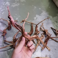 Natural wood branches driftwood for arts &amp; crafts diy ornaments Aquarium / Airplant / Plantation Kayu