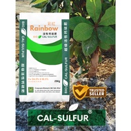 2/6/10KG REPACK CCB Gypsum/Calcium Sulphate - Root Growth/Prevent Root H2O Clogging/Kapur Pertanian