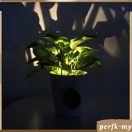 [PerfkMY] IP44 Waterproof Light Bonsai Flowerpot Lights Outdoor Landscaping Decoration