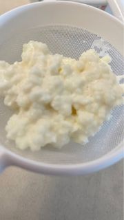 Milk Kefir 奶克菲爾菌株10g 及 250ml 玻璃瓶