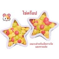 Small Animal Food Drop Egg Snacks