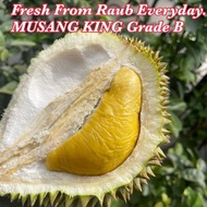 Musang King Grade B / Mangosteen Fresh from Raub Farm Everyday Free Delivery Kepong