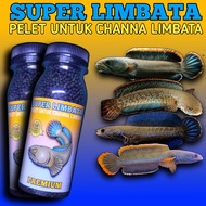 pelet channa limbata 1mm pakan harian ikan channa limbata channa gachua channa bleheri channa andrao