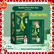 (Sg Stock)Huang yi Bubble Plant Extract Hair Dye Gentle Ingredient Easy to Dye 泡泡染发剂 Color Dye Shamp